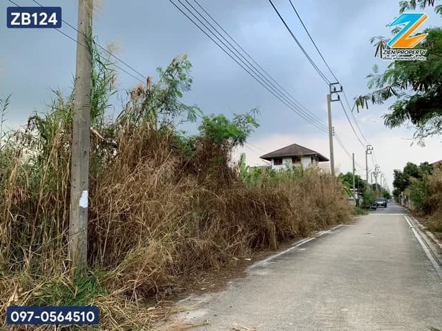 ขายที่ดินทำเลศักยภาพย่านบางบัวทอง ขนาด 199 ตารางวา ซอยปลาหมึก หนองเชียงโคต นนทบุรี รถเข้าออกสะดวกสบาย ZB124 - image 4