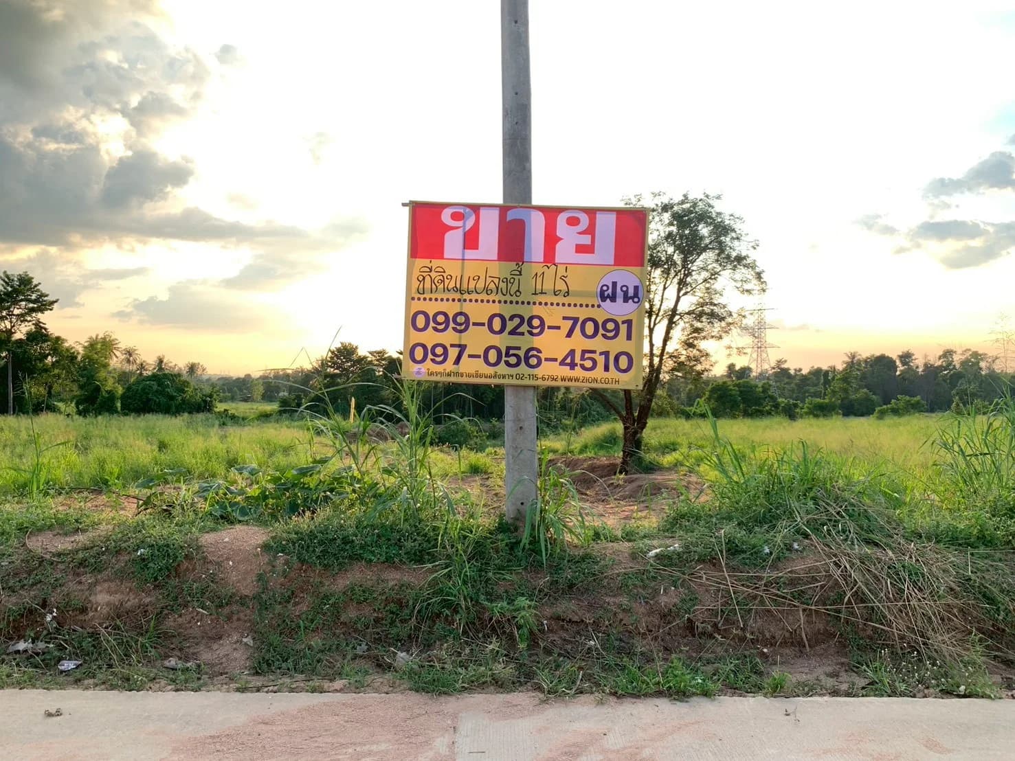 ขายที่ดินขนาดใหญ่ 49 ไร่ 2 งาน 63 ตารางวา ติดถนน 2 ด้าน ทำเลเด่นย่านวิสดอม พัทยา ZB118 - image 1