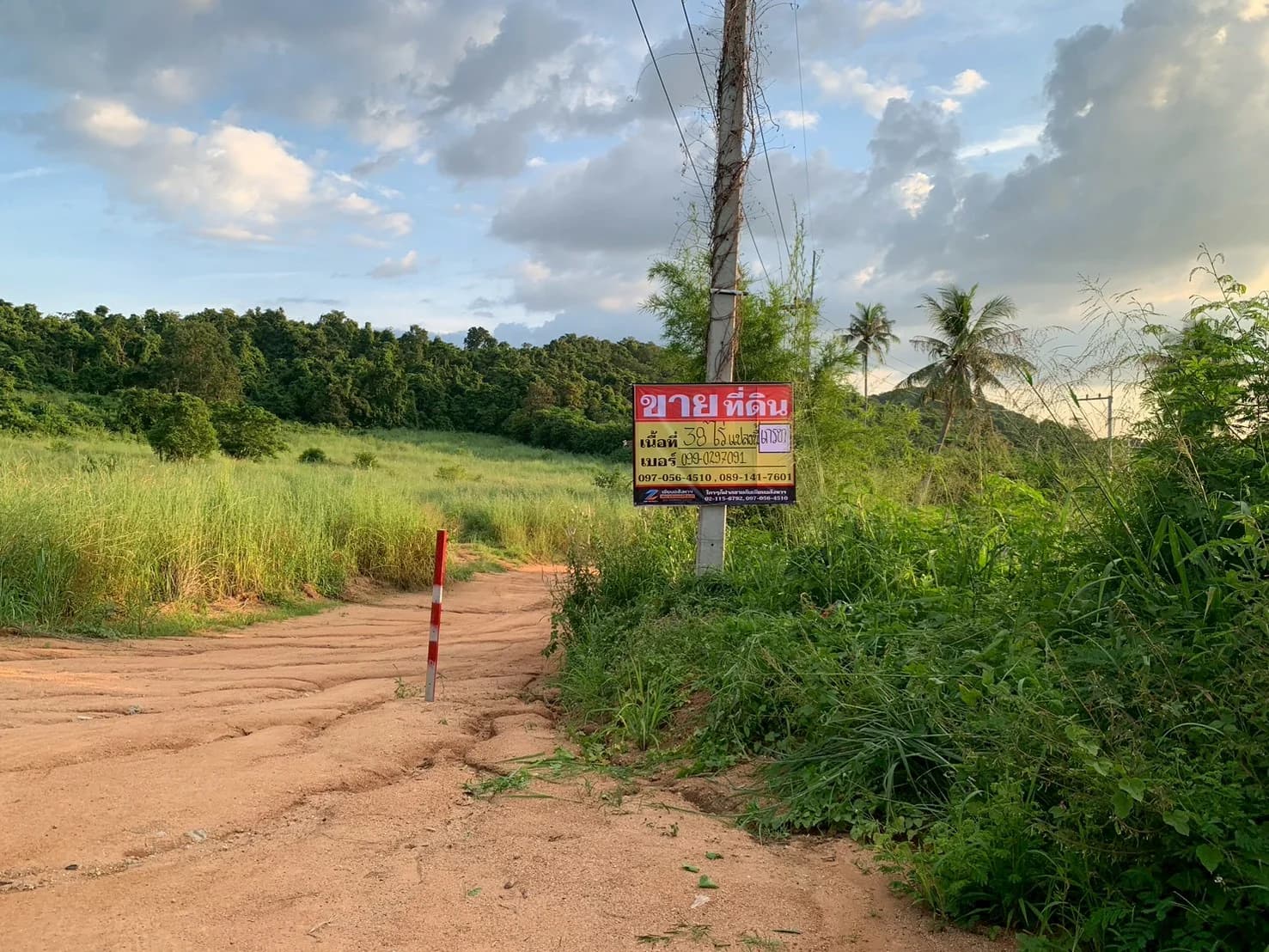 ขายที่ดินขนาดใหญ่ 49 ไร่ 2 งาน 63 ตารางวา ติดถนน 2 ด้าน ทำเลเด่นย่านวิสดอม พัทยา ZB118 - image 2