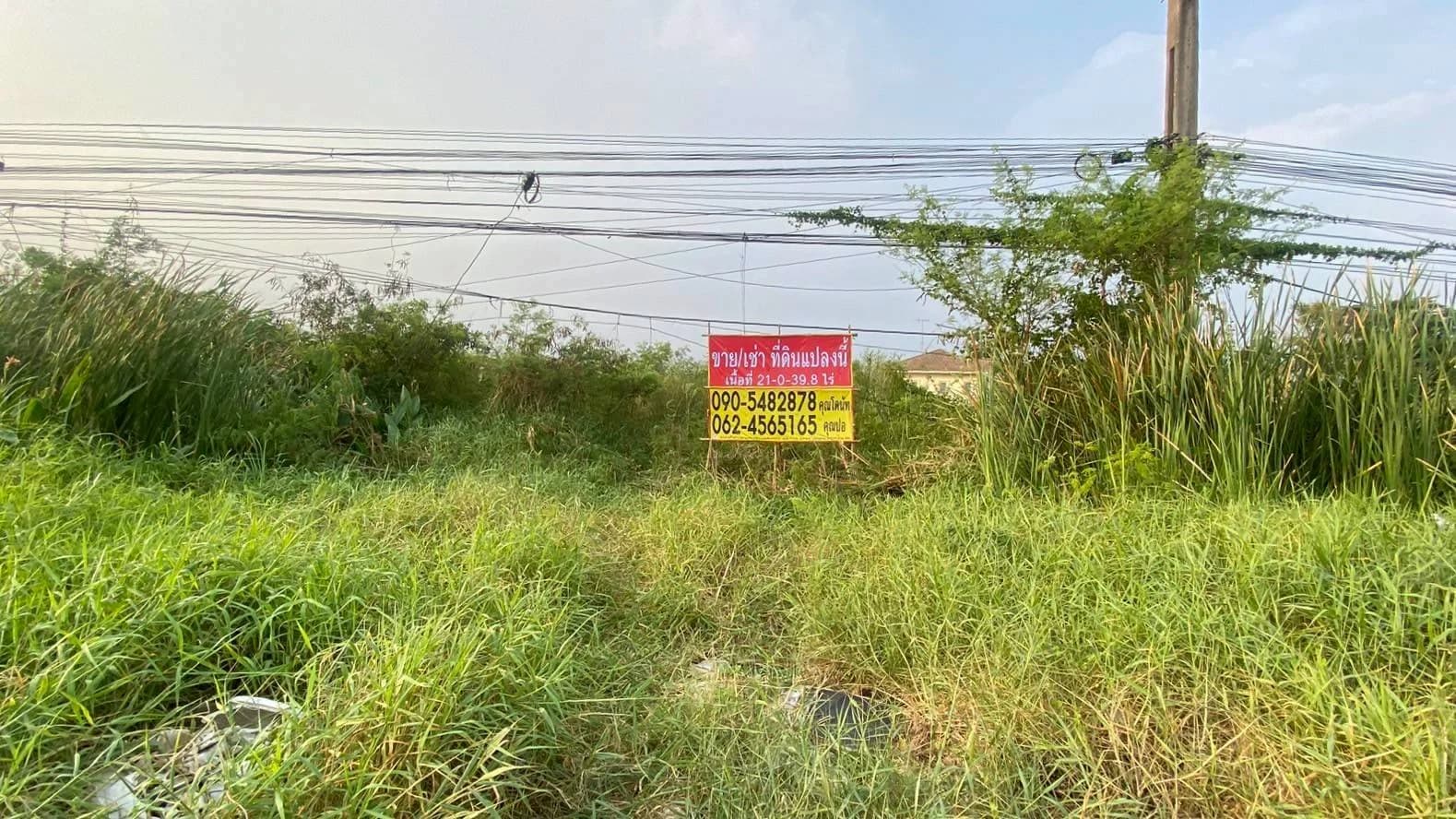 ขายที่ดินศักยภาพสูง 21-0-39.8 ไร่ หนองจอก ติดถนนสุวินทวงศ์ เดินทางสะดวก เชื่อมสู่ถนนเสรีไทย รามคำแหง และทางด่วนมอเตอร์เวย์ - image 2