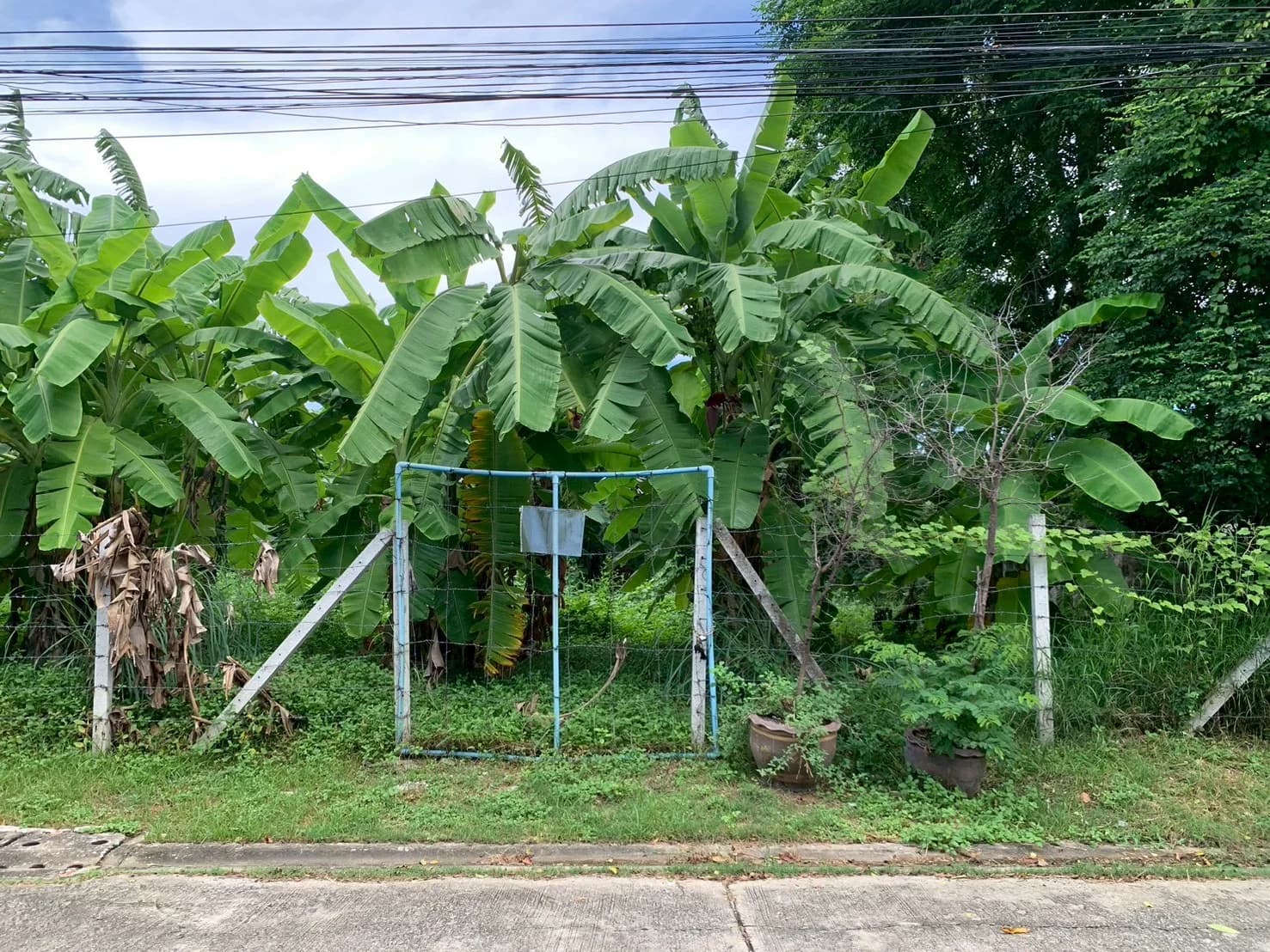 ขายที่ดิน 188 ตร.วา. รามอินทรา61 ในหมู่บ้านสวัสดิการนายทหาร ใกล้ MRT วัชรพล ถมแล้ว เงียบสงบ ปลอดภัย เหมาะสร้างบ้าน - image 4