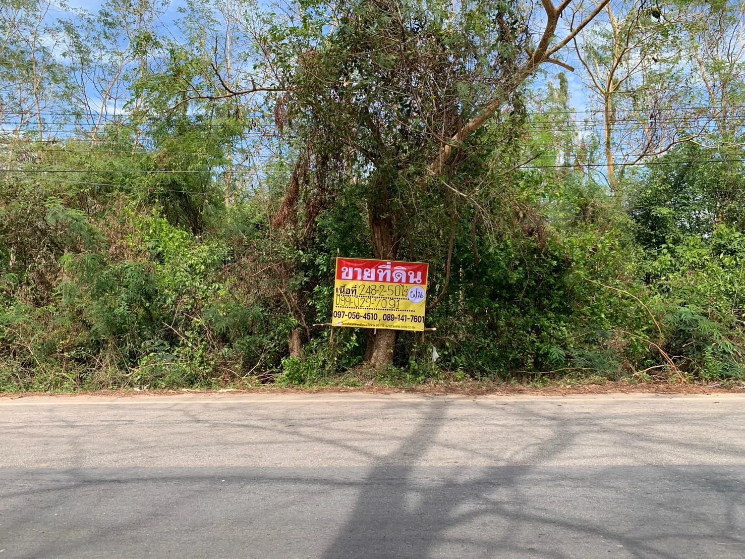 ขายที่ดิน 248-2-50 ไร่ (ไร่ละ 3 ล้าน) หลังโกลบอลเฮ้าส์ ถนนสุวรรณศร กบินทร์บุรี จ.ปราจีนบุรี ZB099