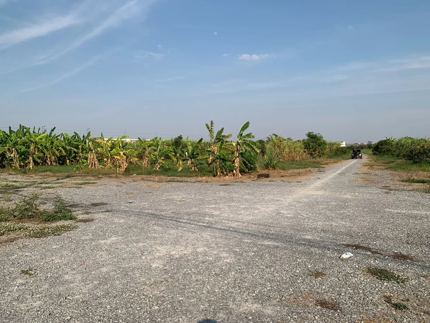 ขายที่ดินถมแล้ว 9 ไร่ 42.9 ตารางวา ติดถนนเลียบคลองปลาดุก ย่านวัดลาดปลาดุก-บางบัวทอง นนทบุรี ZB126 - image 3