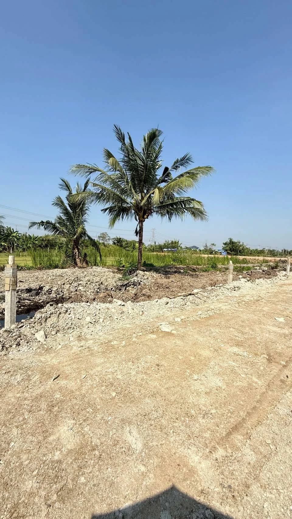 ขายด่วนที่ดิน 200 ตร.วา บึงขวาง3 แยก18 ใกล้โรงเรียนเตรียมอุดมศึกษาพัฒนาการสุวรรณภูมิ มีนบุรี ZT905 - image 3