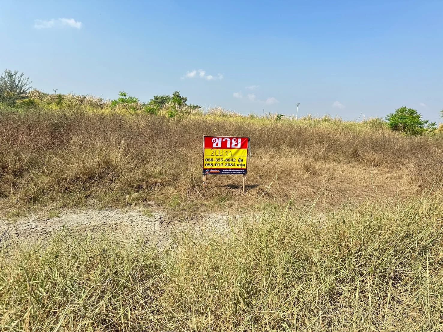 ขายที่ดิน 200วา ซอยบางนาตราด กม.44 ซอยบุญชนะ 10 บางเกลือ บางปะกง ฉะเชิงเทรา ZT901