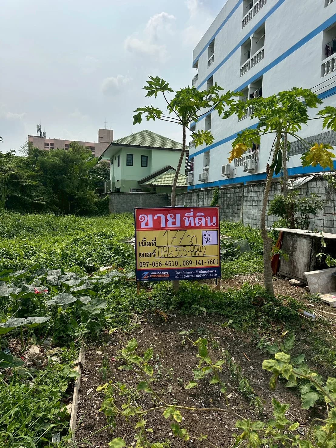 ขายที่ดิน 177 ตารางวา ถมแล้ว ซอยอ่อนนุช66 แยก 1 ถนนศรีนครินทร์ ประเวศ ZT900 - image 1