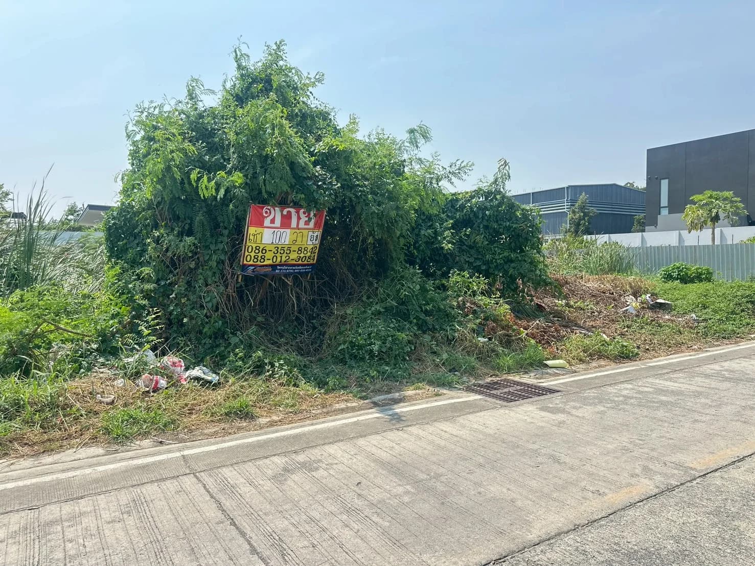 ขาย/เช่าที่ดิน 100 ตารางวา ซอยศรีด่าน22 พัฒนาชุมชน25 รถไฟฟ้าศรีลาซาล แบริ่ง ZT892 - image 2