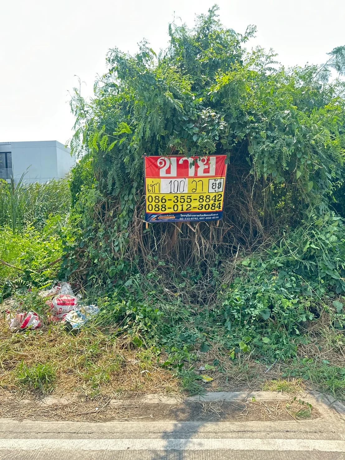 ขาย/เช่าที่ดิน 100 ตารางวา ซอยศรีด่าน22 พัฒนาชุมชน25 รถไฟฟ้าศรีลาซาล แบริ่ง ZT892