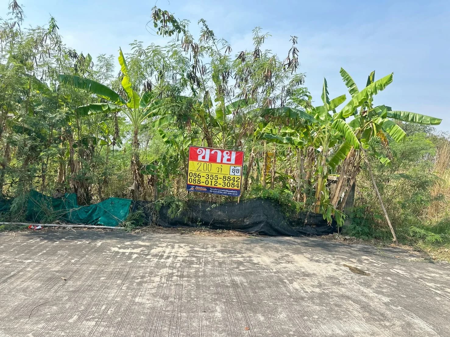 ขายที่ดิน 200 ตารางวา หมู่บ้านพฤกษาแลนด์ บ้านบึง ชลบุรี ใกล้เทศบาลตำบลหนองชากเพียง ZT891