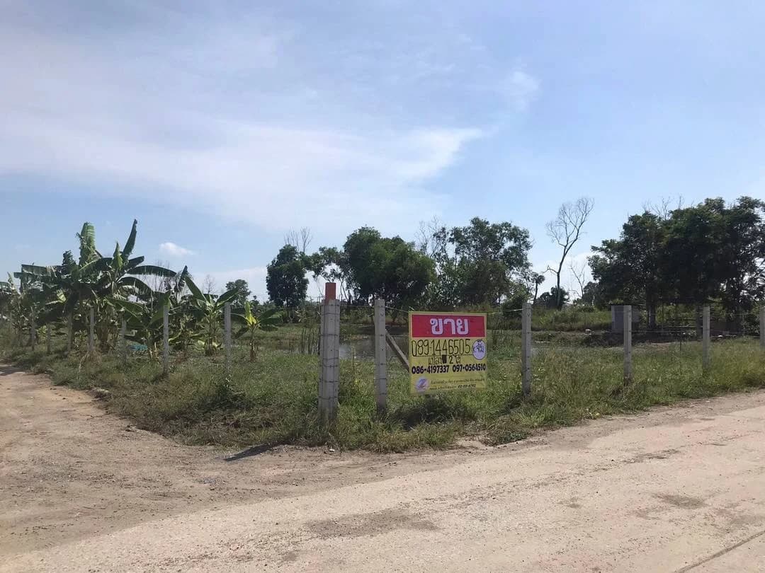 ขายที่ดิน 2 ไร่ ซอยบางนาการ์เด้น9 บางนา-ตราด กม.26 ใกล้เอแบคบางนา ZJ184 - image 2