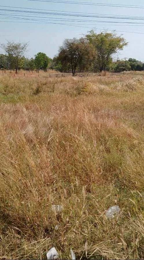 ให้เช่าที่ดินสวย 3-0-12 ไร่ ติดถนนมิตรภาพ ขาเข้าขอนแก่น หนองหว้า บัวลาย นครราชสีมา ZE612 - image 2