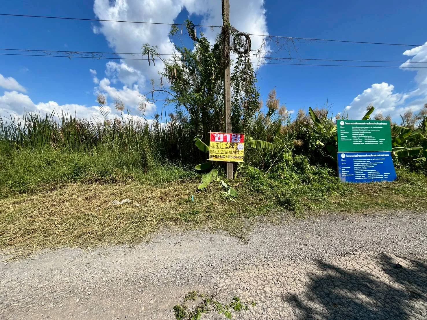 ขายที่ดินถมแล้ว 228 ตร.วา. วังน้อย อยุธยา ทำเลดีใกล้ถนนพหลโยธินขาเข้ากรุงเทพ ZE604 - image 2