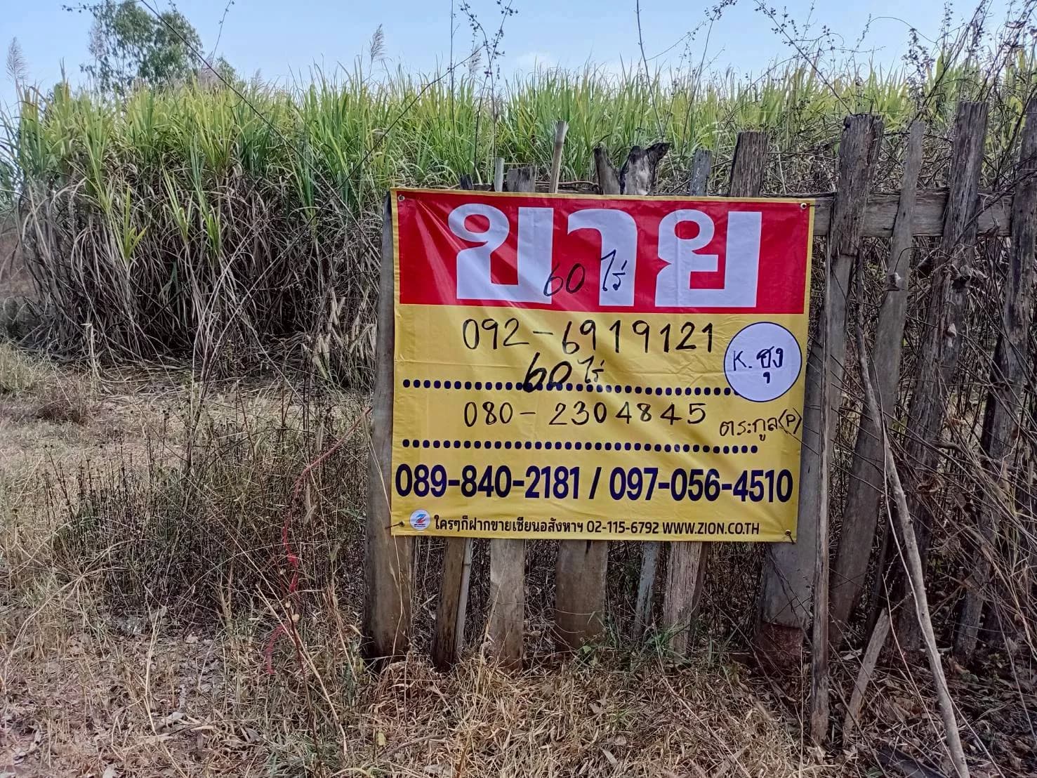 ขายที่ดินไร่อ้อย 60 ไร่ ดงมะไฟ เมืองสกล เหมาะทำเกษตรกรรม ZE603 - image 1