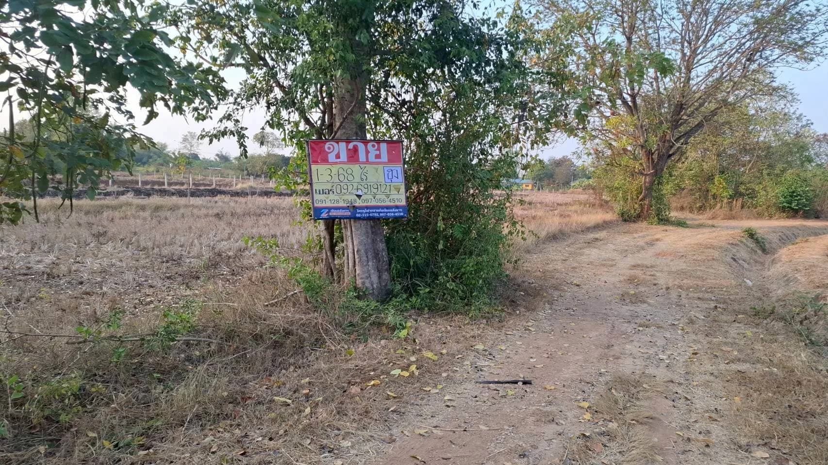 ขายที่ดิน 1-3-68 ไร่ หนองบัว โกสุมพิสัย มหาสารคราม ZE601 - image 1