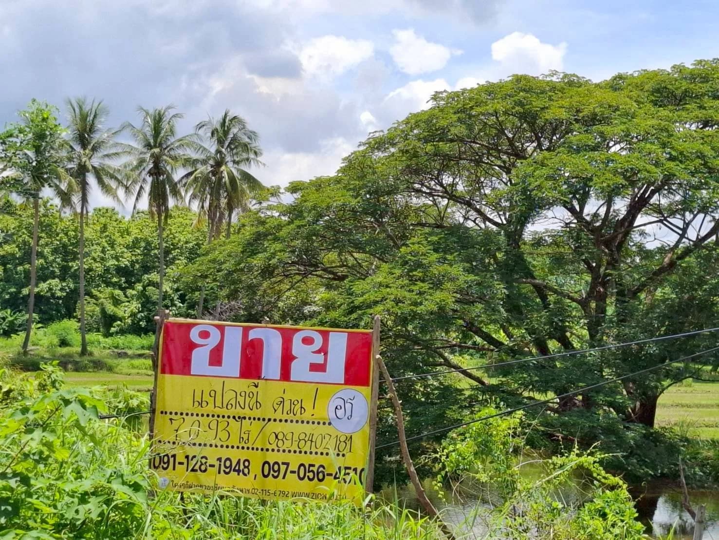 ขายที่ดินติดถนน หนองคายโพนพิสัย 7-0-93 ไร่ บ้านเดื่อ เมืองหนองคาย ZP182 - image 1