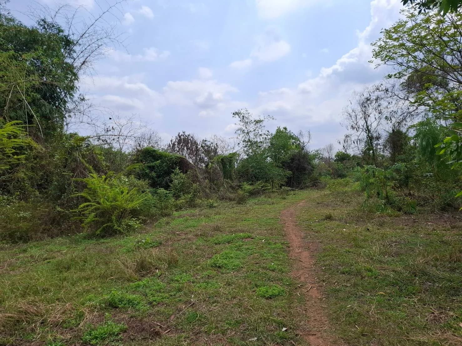 ขายที่ดิน 4-3-54 ไร่ ใกล้วิทยาลัยเกษตรและเทคโนโลยีอุดรธานี กุดสระ เมืองอุดรธานี ZP169 - image 4