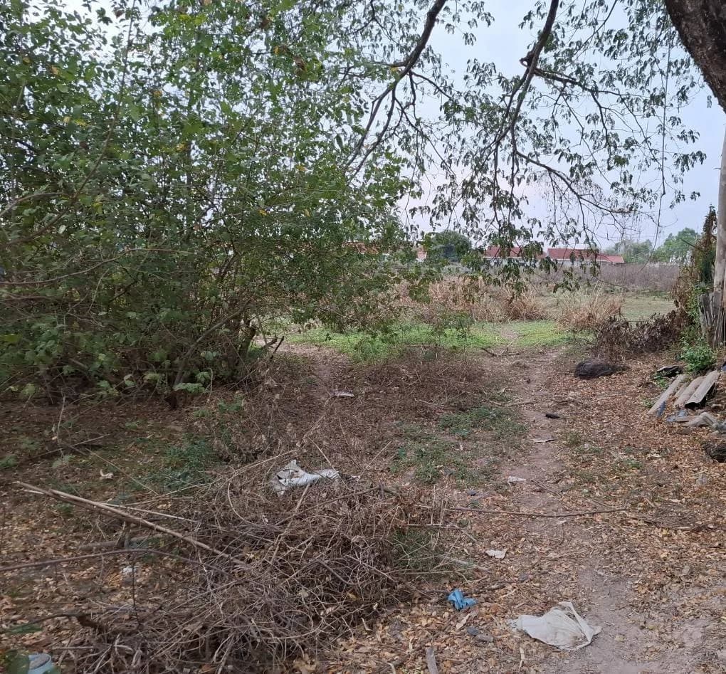 ขายที่ดิน 54 ตร.วา ใกล้โรงเรียนมัธยมศิริวัณวรี เชียงพิน เมืองอุดรธานี ZP170 - image 2