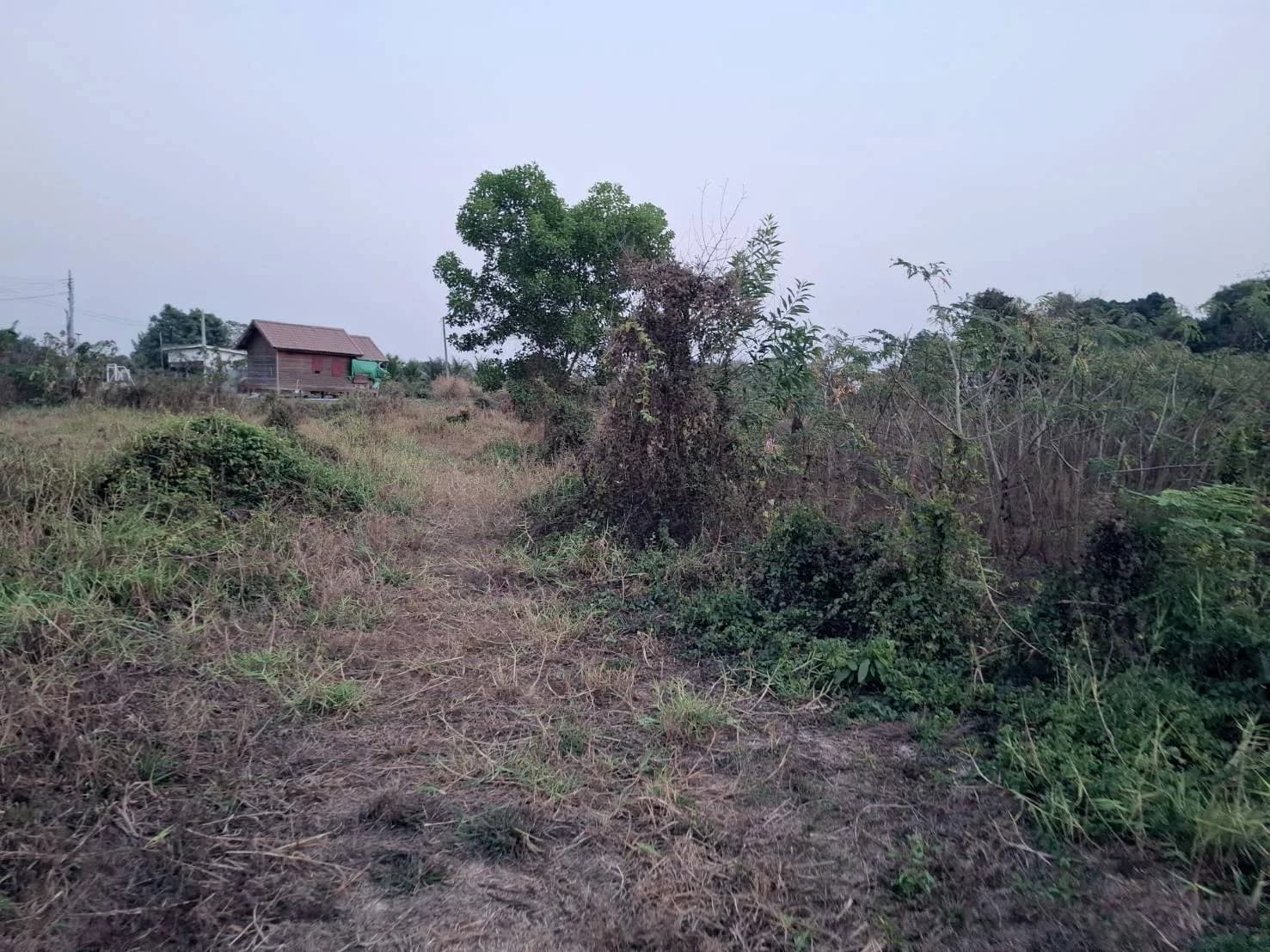 ขายที่ดิน 1-1-65 ไร่ ซ.บุญมีอุทิศ ใกล้โรงเรียนอนุบาลศรีเชียงใหม่ หนองคาย ZP168 - image 2