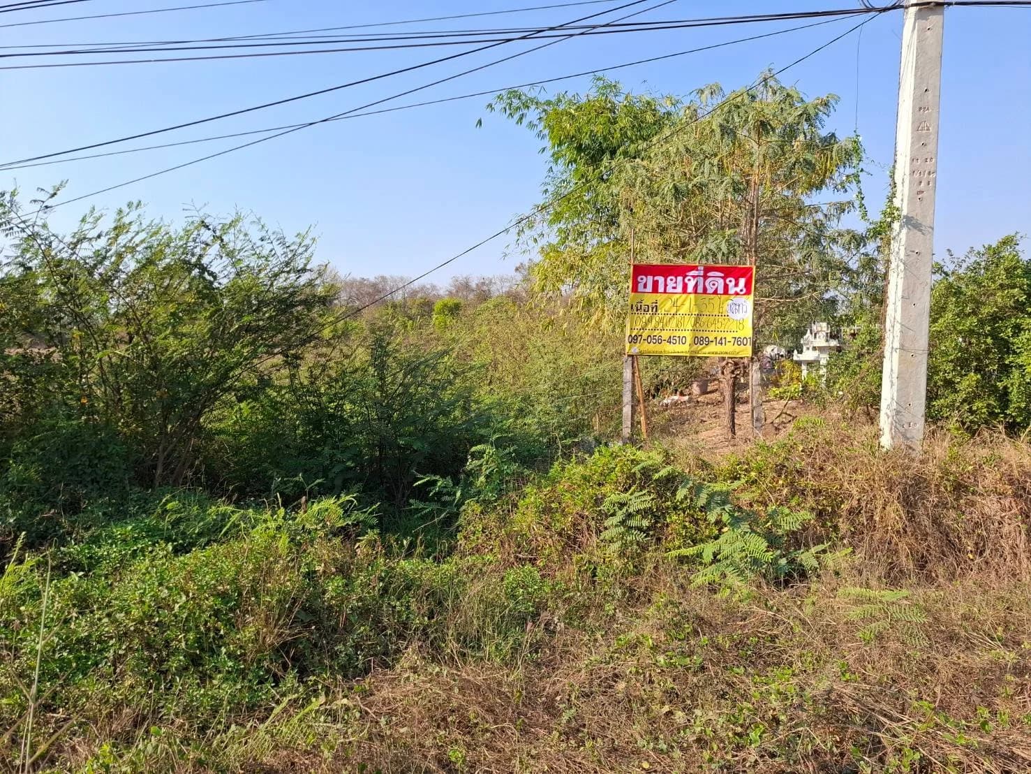 ขายที่ดินติดถนน 24 - 1- 35 ไร่ ใกล้ปั๊ม PT สามพร้าว จ.อุดรธานี ZP164 - image 2