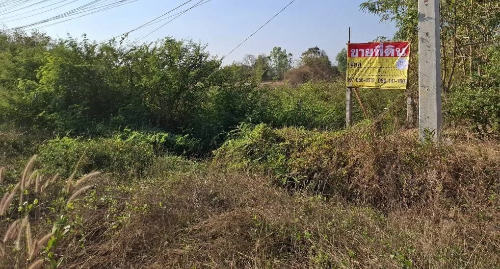 ขายที่ดินติดถนน 24 - 1- 35 ไร่ ใกล้ปั๊ม PT สามพร้าว จ.อุดรธานี ZP164 - image 4