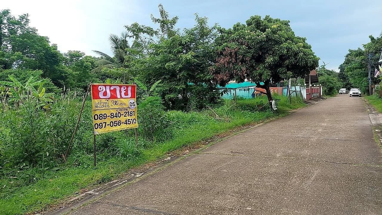 ขายที่ดินสวย 200 ตารางวา หลังอนามัยนาโพธิ์ เมืองหนองคาย ZP136 - image 3