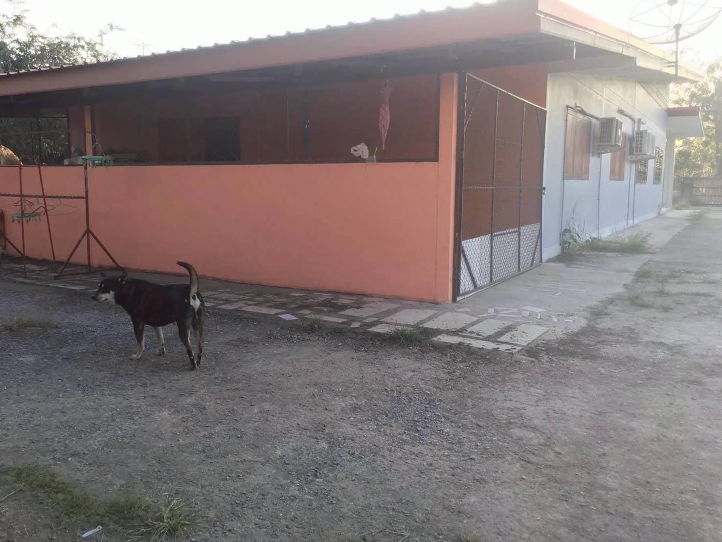 ขายบ้านใหม่พร้อมที่ดิน ติดถนน เนื้อที่ 1-0-0 ไร่ ตรงข้ามโรงเรียนวัดโนนเหล็ก เมืองอุทัยธานี ZK607 - image 3