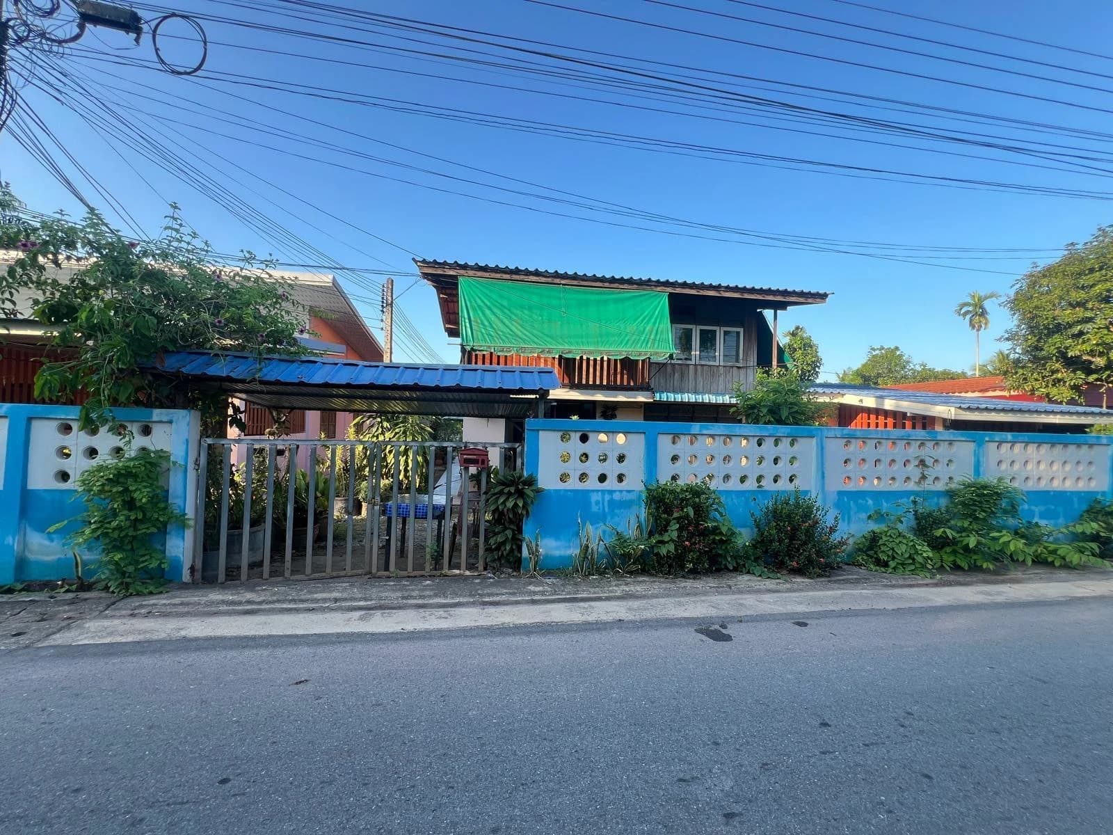 ขายที่ดินและบ้านเช่าพร้อมผู้เช่า เนื้อที่ 250 วา ซอยถนนประชารัฐ บางกุ้ง เมืองสุราษฎร์ธานี ZST216 - image 1