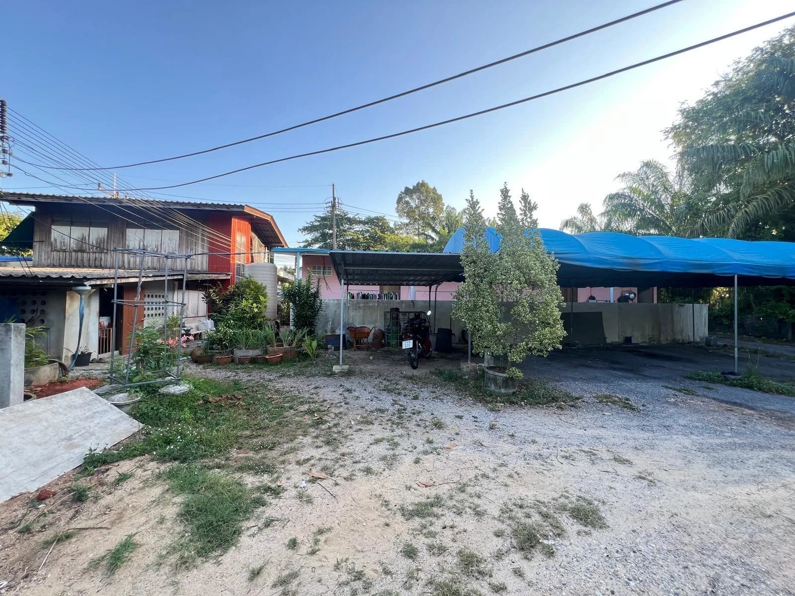 ขายที่ดินและบ้านเช่าพร้อมผู้เช่า เนื้อที่ 250 วา ซอยถนนประชารัฐ บางกุ้ง เมืองสุราษฎร์ธานี ZST216 - image 4
