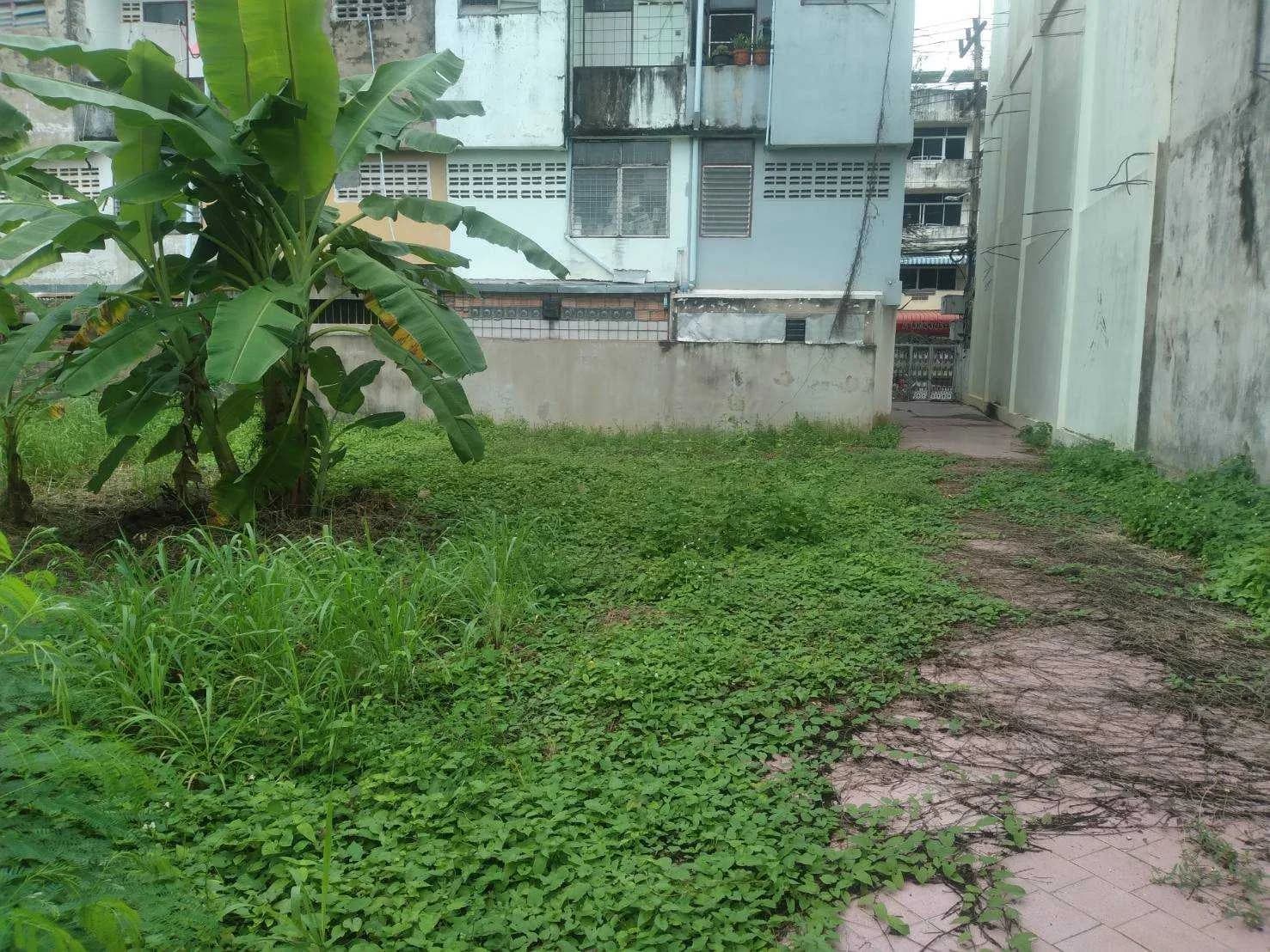 ขายที่ดินสวยใจกลางเมืองสุราษฎร์ เนื้อที่ 179.6 ตารางวา ใกล้ศาลหลักเมือง สุราษฎร์ธานี ZST210 - image 4