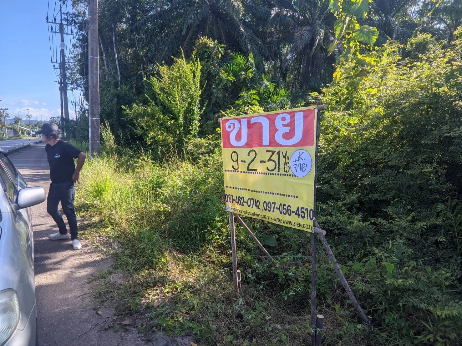 ขายที่ดินติดถนน 9-2-31 ไร่ ใกล้เขื่อนรัชชประภา อ.บ้านตาขุน สุราษฎร์ธานี ZST209 - image 2