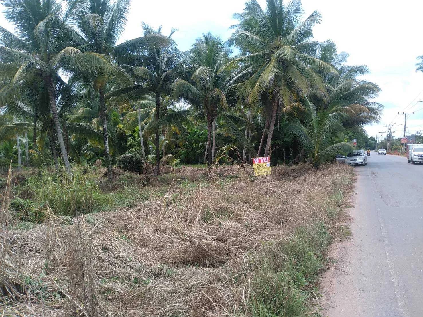 ขายที่ดินเกาะลำพู 5-2-71 ไร่ ติดแม่น้ำตาปี บางใบไม้ เมืองสุราษฎร์ธานี ZST206 - image 2