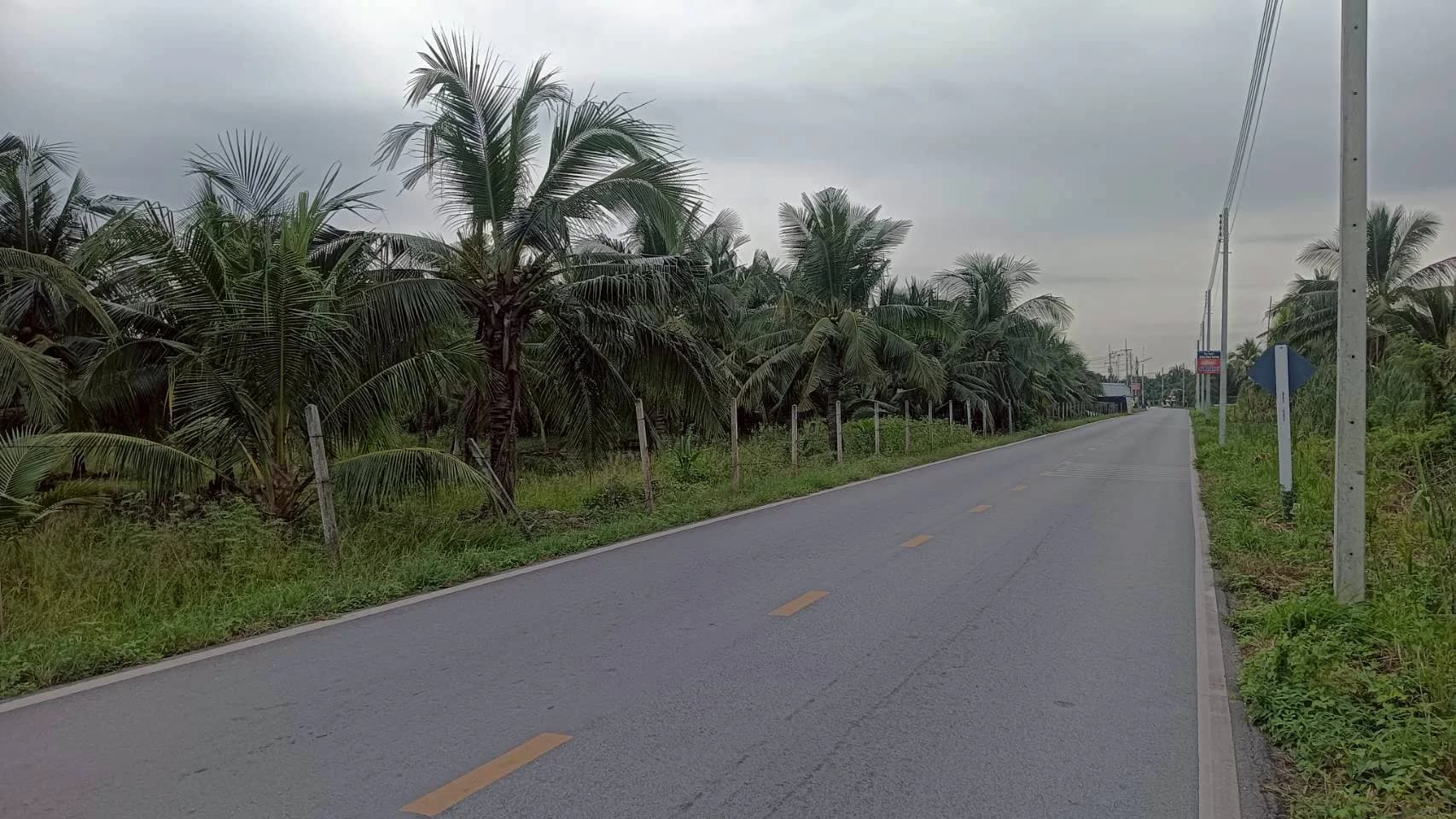 ขายที่ดินสวนมะพร้าว 19 ไร่ ติดคลองและถนนดำ บ้านแพ้ว ซอยทุ่งเศรษฐี สมุทรสาคร - image 3