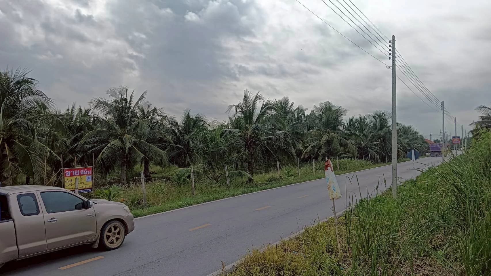 ขายที่ดินสวนมะพร้าว 19 ไร่ ติดคลองและถนนดำ บ้านแพ้ว ซอยทุ่งเศรษฐี สมุทรสาคร - image 4
