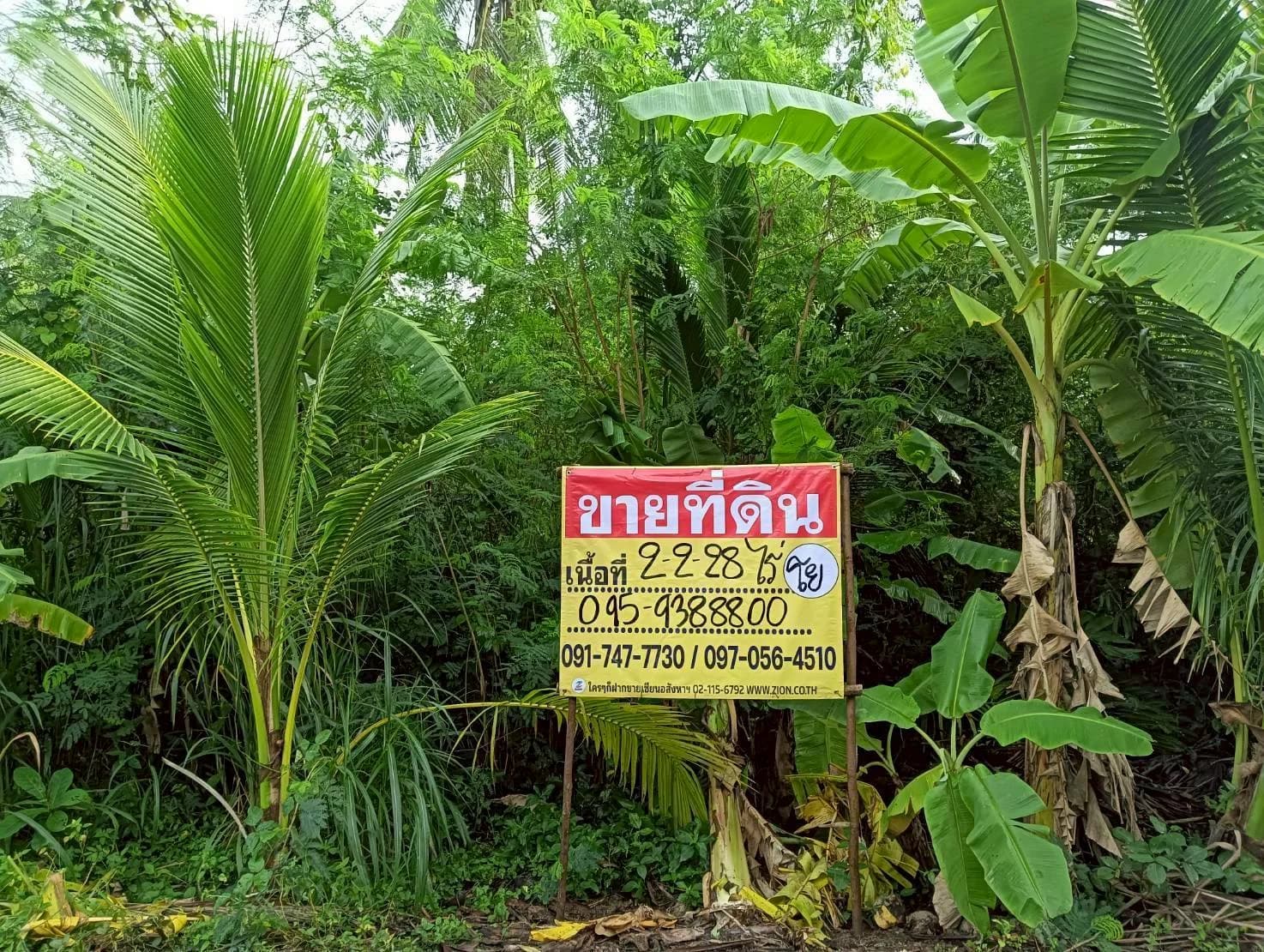 ขายที่ดิน 2-2-28 ไร่ ทำเลสวย ธรรมชาติ รมรื่น อัมพวา สมุทรสงคราม ใกล้เส้นถนนพระรามที่ 2 ZW616