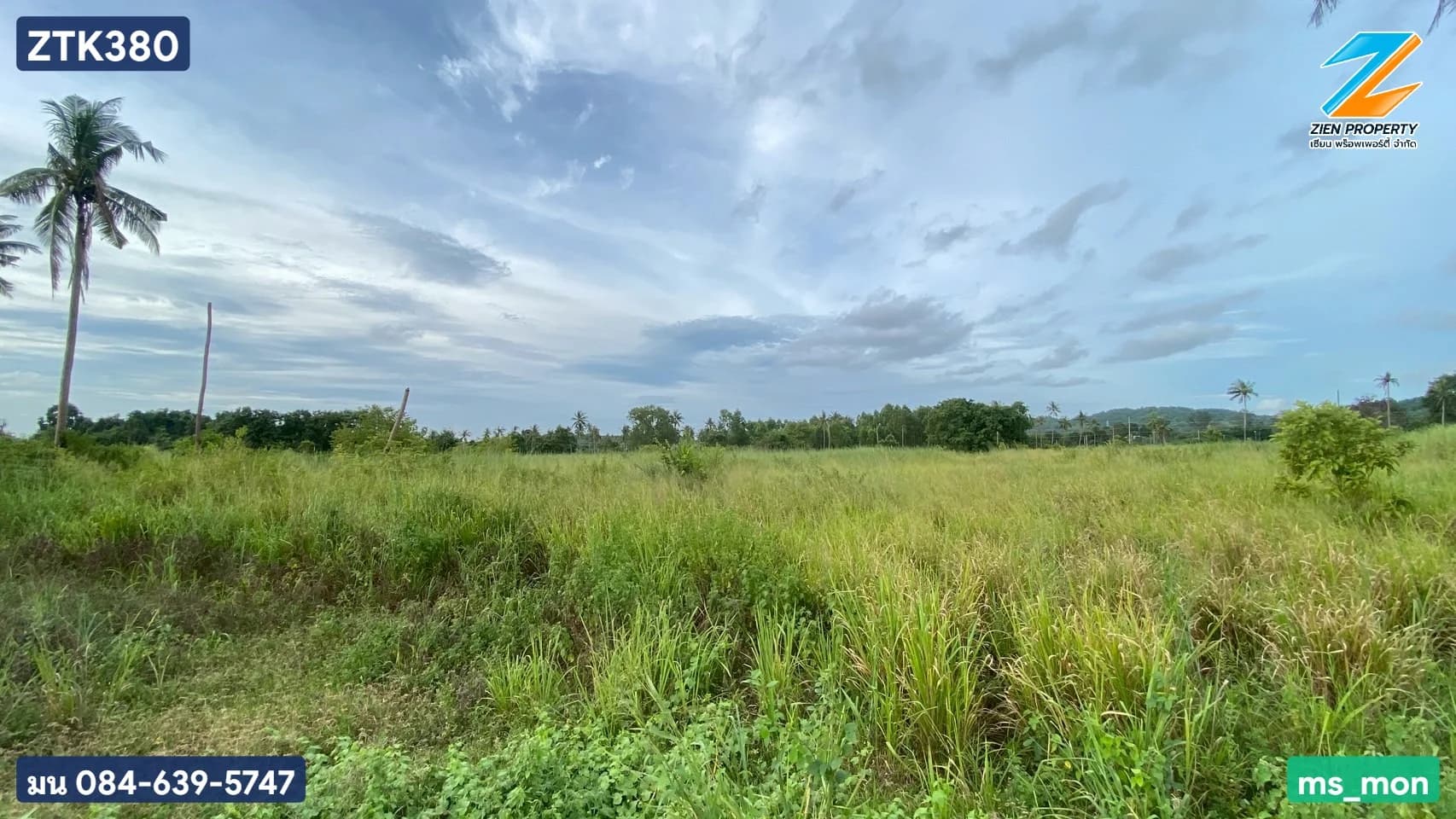 ขายที่ดินผืนใหญ่ 21 - 2 -16 ไร่ ห้วยยายมุก บางละมุง ชลบุรี ใกล้ถนนเส้นหลักกระทิงลาย-ปลวกเกตุ วิ่งเข้ามอเตอร์เวย์ - image 4