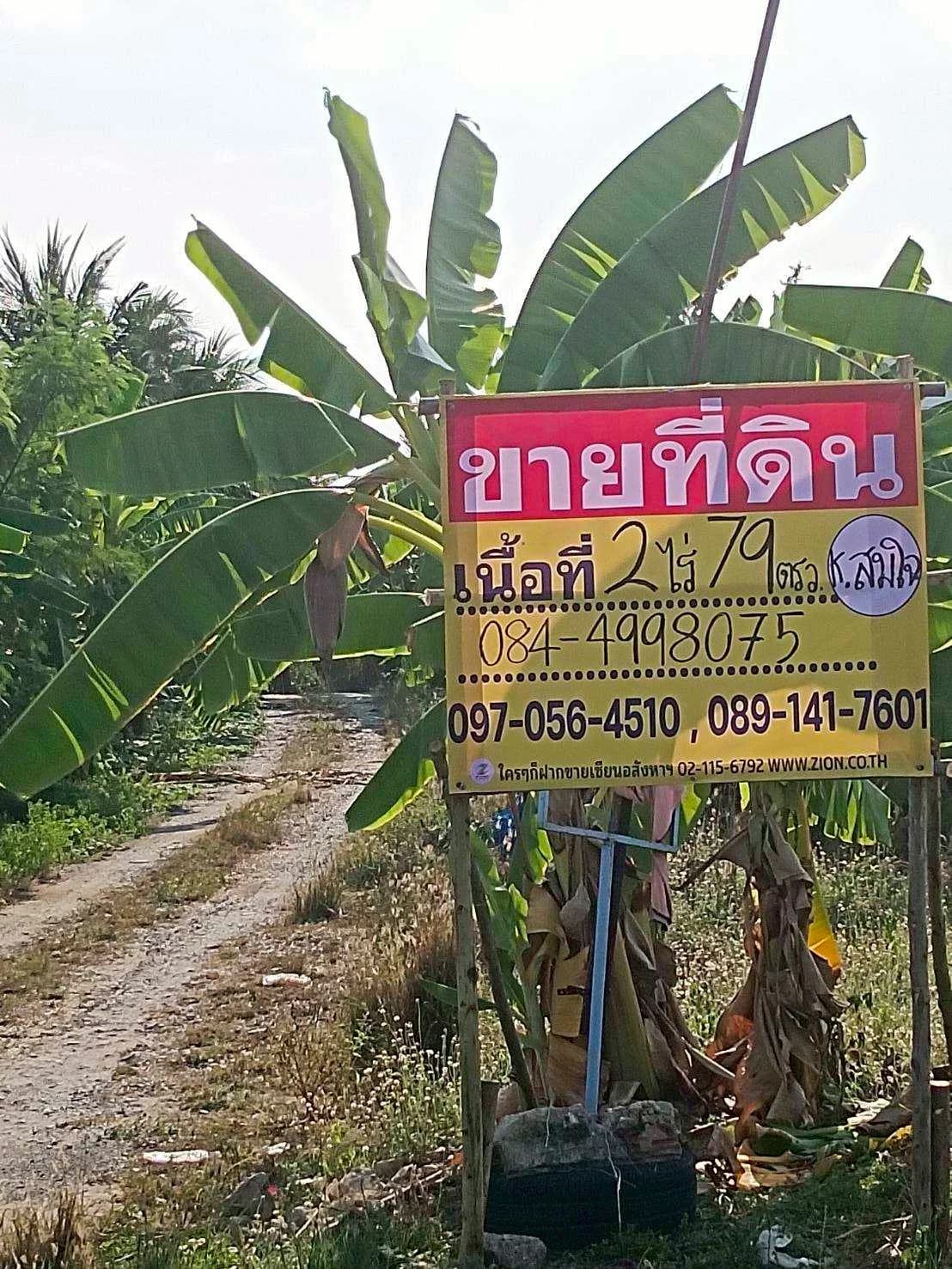 ขายที่ดินแปลงสวย ทำเลดี ที่ดินขนาด 2-0-79 ไร่ ในซอยพุทธบูชา 39 ราคาดีสุดคุ้ม! เพียง 35,000 บาทต่อตารางวา เหมาะสำหรับสร้างที่อยู่อาศัยส่วนตัว หรือซื้อเก็บไว้เก็งกำไร - image 2