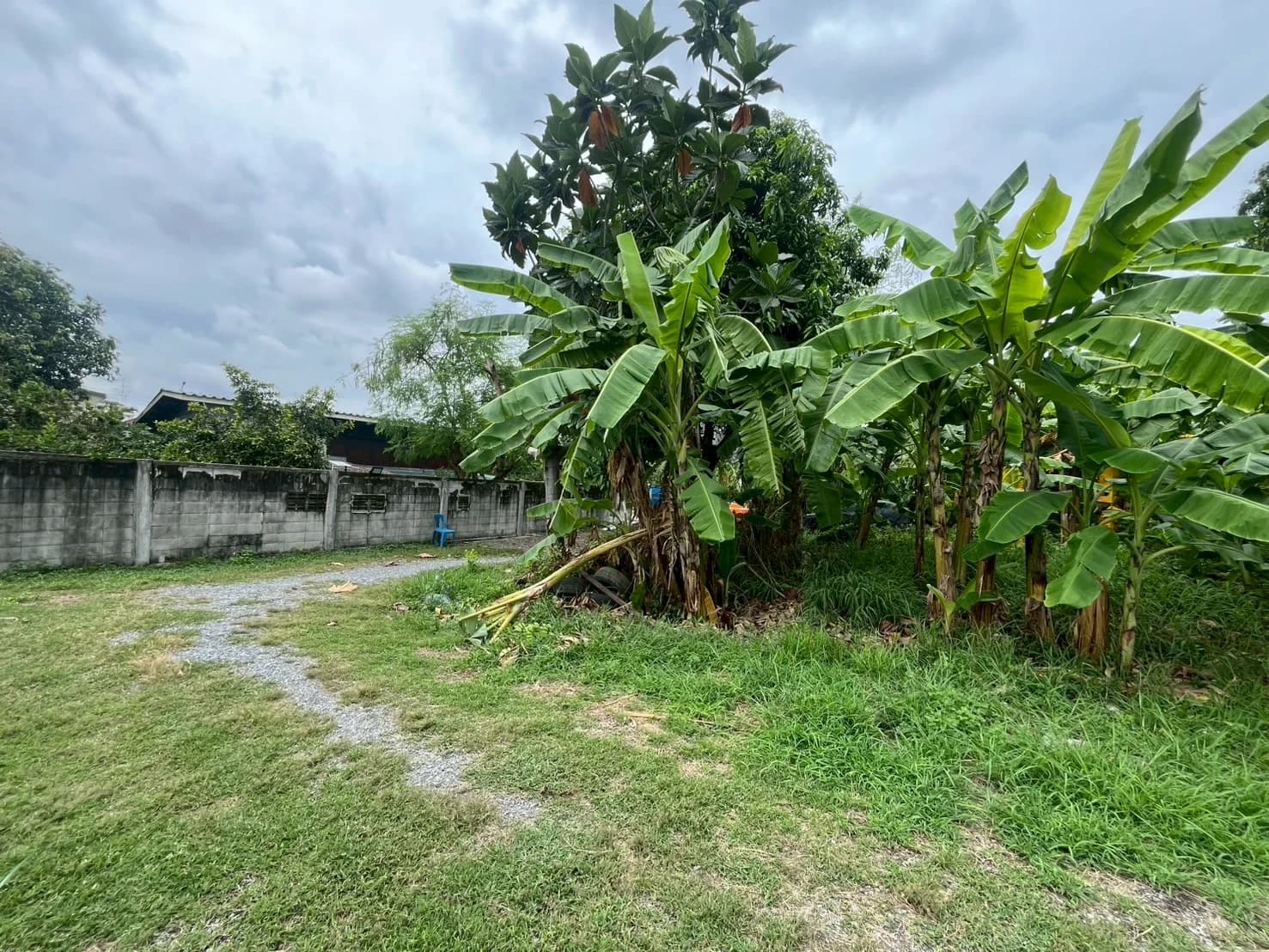 ขายที่ดินแปลงสวย ขนาด 265 ตารางวา บนถนนสิรินธรซอย 2 แยก 11 - image 3