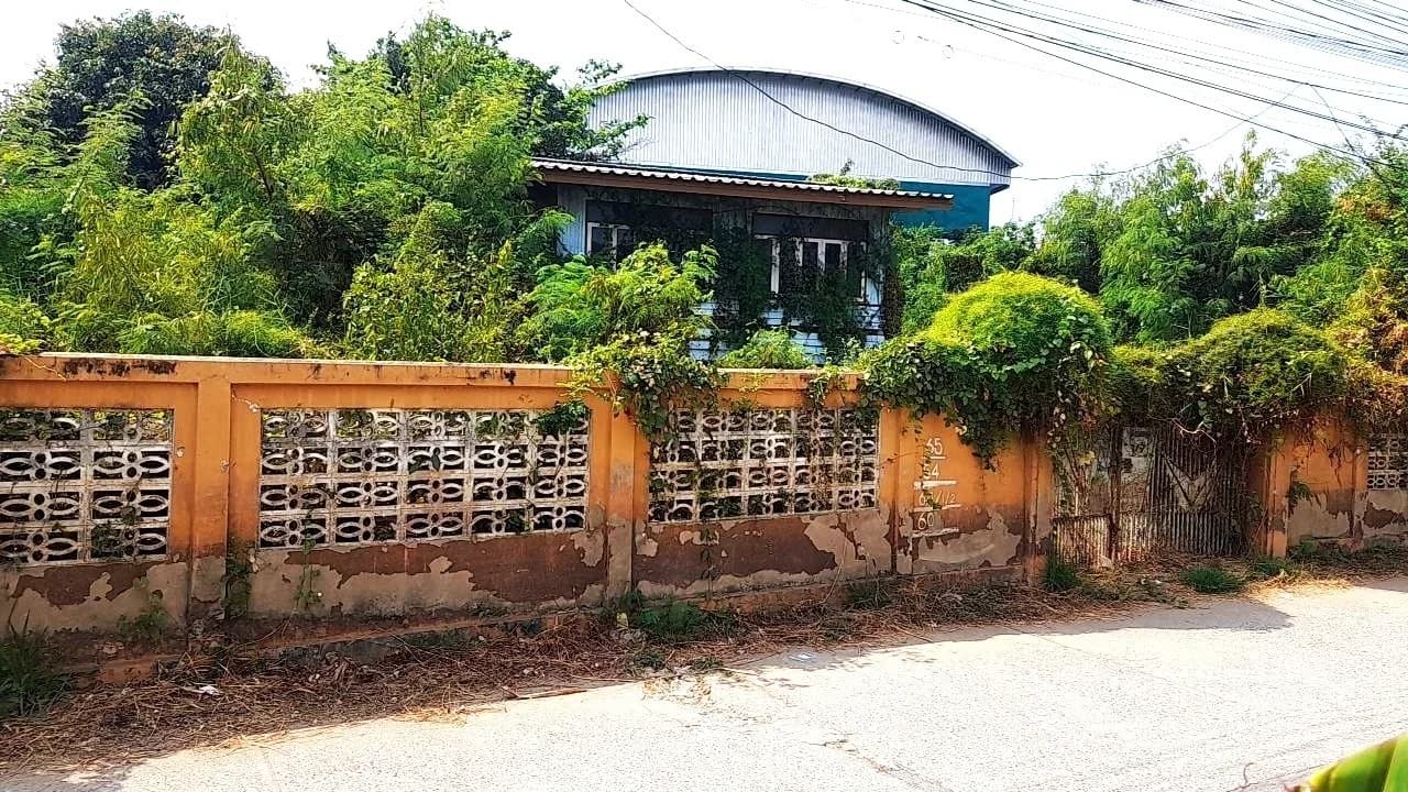 ขาย #ที่ดินพร้อมสิ่งปลูกสร้าง อยู่ในตัวเมือง #สิงห์บุรี 300 ตารางวา ห่างจากแยก #ศาลหลักเมือง เพียง 3 นาที เหมาะสร้างบ้าน หรือซื้อเก็บไว้เก็งกำไร ราคาเพียง 7.5 ลบ.ค่าโอนคนละครึ่ง - image 2