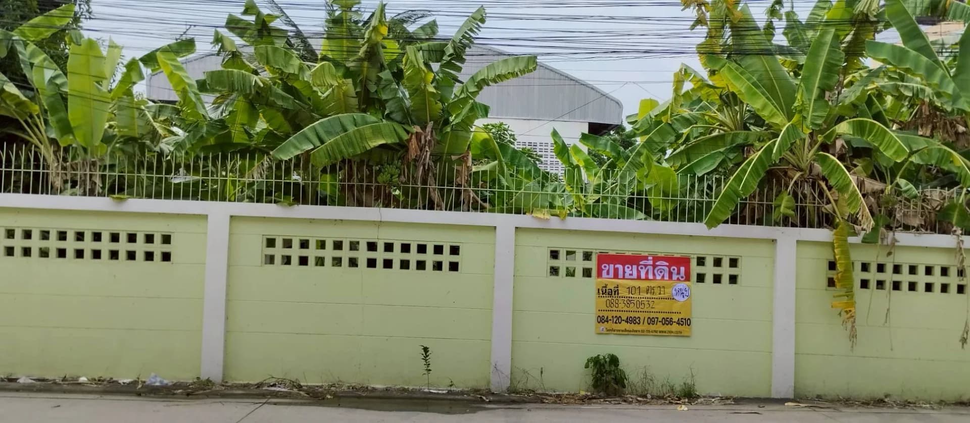 ✨ ขาย ที่ดินแปลงสวย 101 ตารางวา ทำเลเด่นย่านสะแกงาม 30 ทะลุเลียบด่วนกาญจนา บางขุนเทียน พระราม 2 ราคา 5,600,000 บาท (ค่าโอน ณ กรมที่ดิน คนละครึ่ง) - image 2