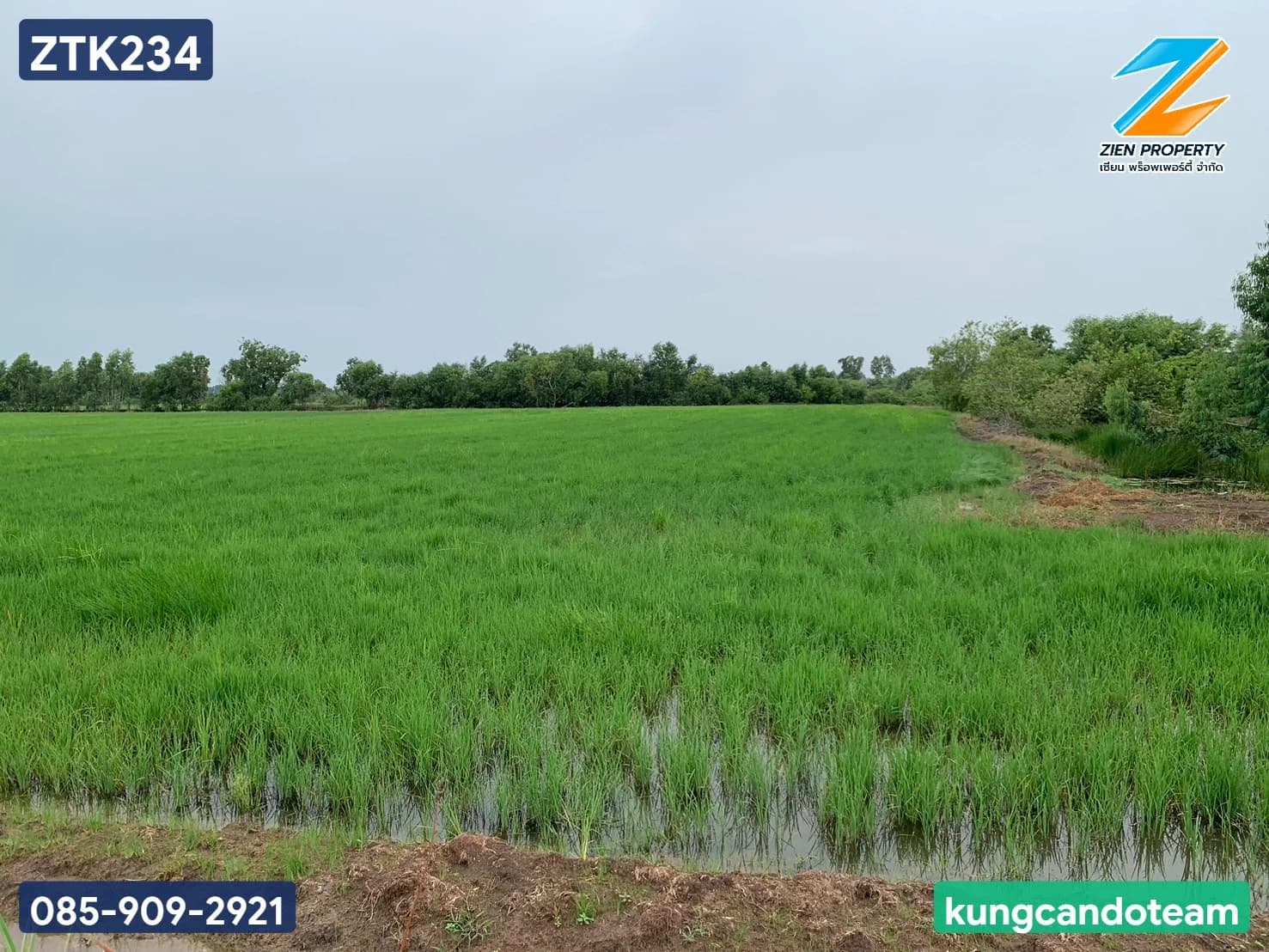 ขายที่ดินผืนใหญ่! 83 ไร่ 1 งาน 24 ตร.ว. ทำเลดี ใกล้ตัวเมืองปราจีนบุรี หน้ากว้างติดถนนประมาณ 240 เมตร ทำเลศักยภาพสูงใน ตำบลท่างาม อำเภอเมือง จังหวัดปราจีนบุรี - image 2