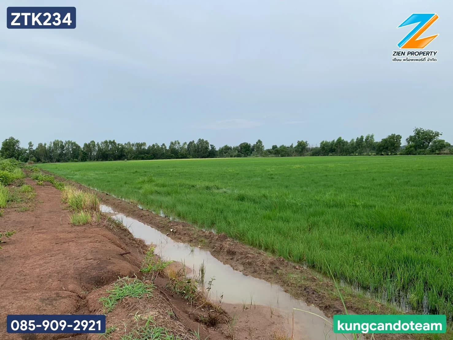 ขายที่ดินผืนใหญ่! 83 ไร่ 1 งาน 24 ตร.ว. ทำเลดี ใกล้ตัวเมืองปราจีนบุรี หน้ากว้างติดถนนประมาณ 240 เมตร ทำเลศักยภาพสูงใน ตำบลท่างาม อำเภอเมือง จังหวัดปราจีนบุรี - image 3