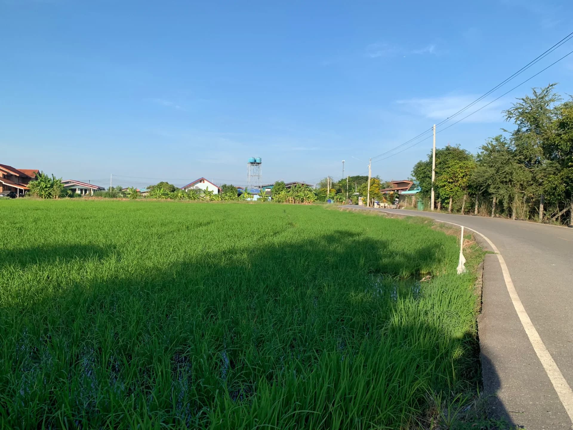 ขายที่ดิน 15-3-88 ไร่ แหล่งชุมชน ใกล้อบต.หนองจอก บางปะกง