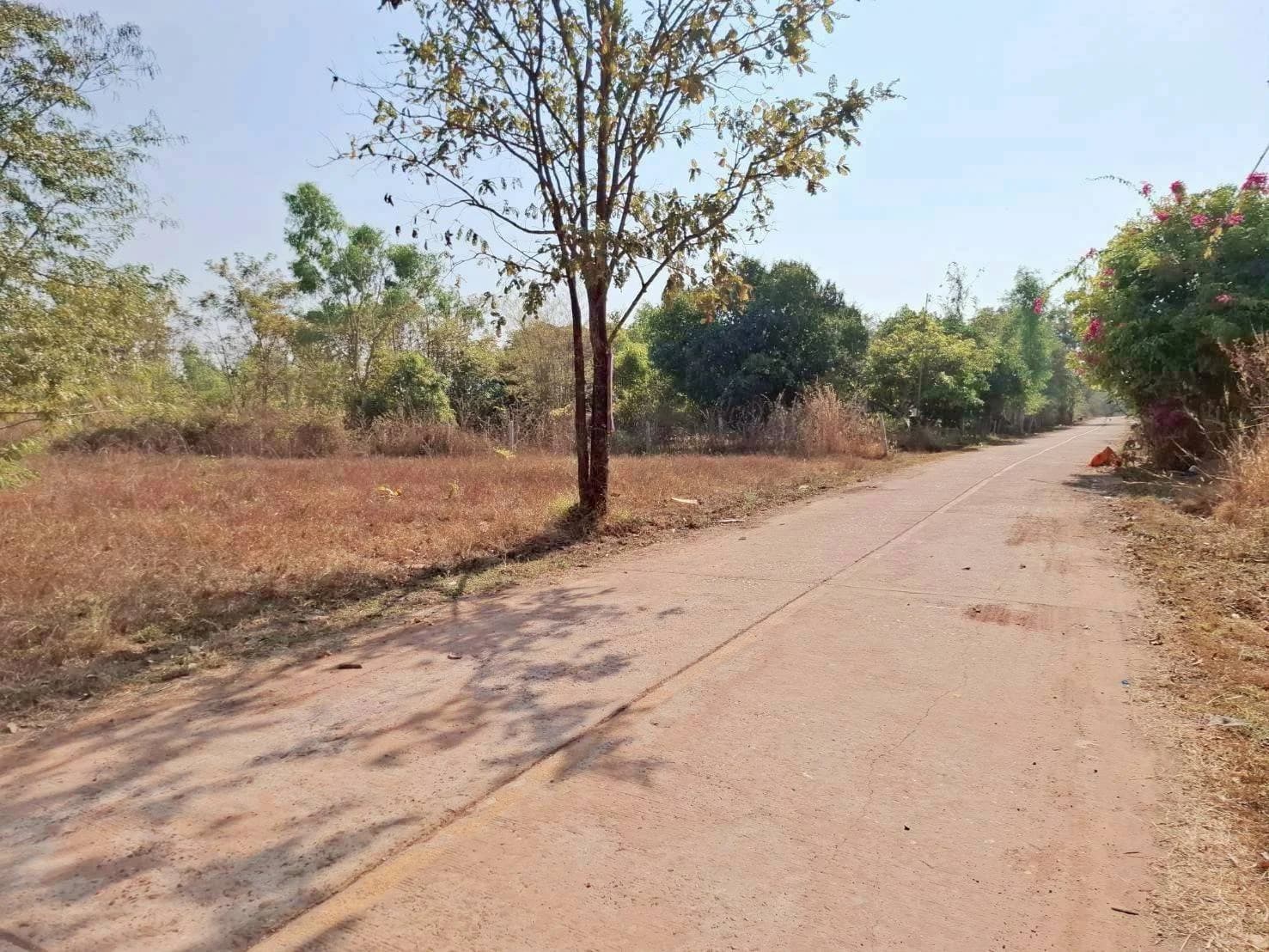 ที่ดินติดถนน 2 ด้าน ทำเลดี ใกล้วัดเทพวังทอง 1 ไร่ - image 2