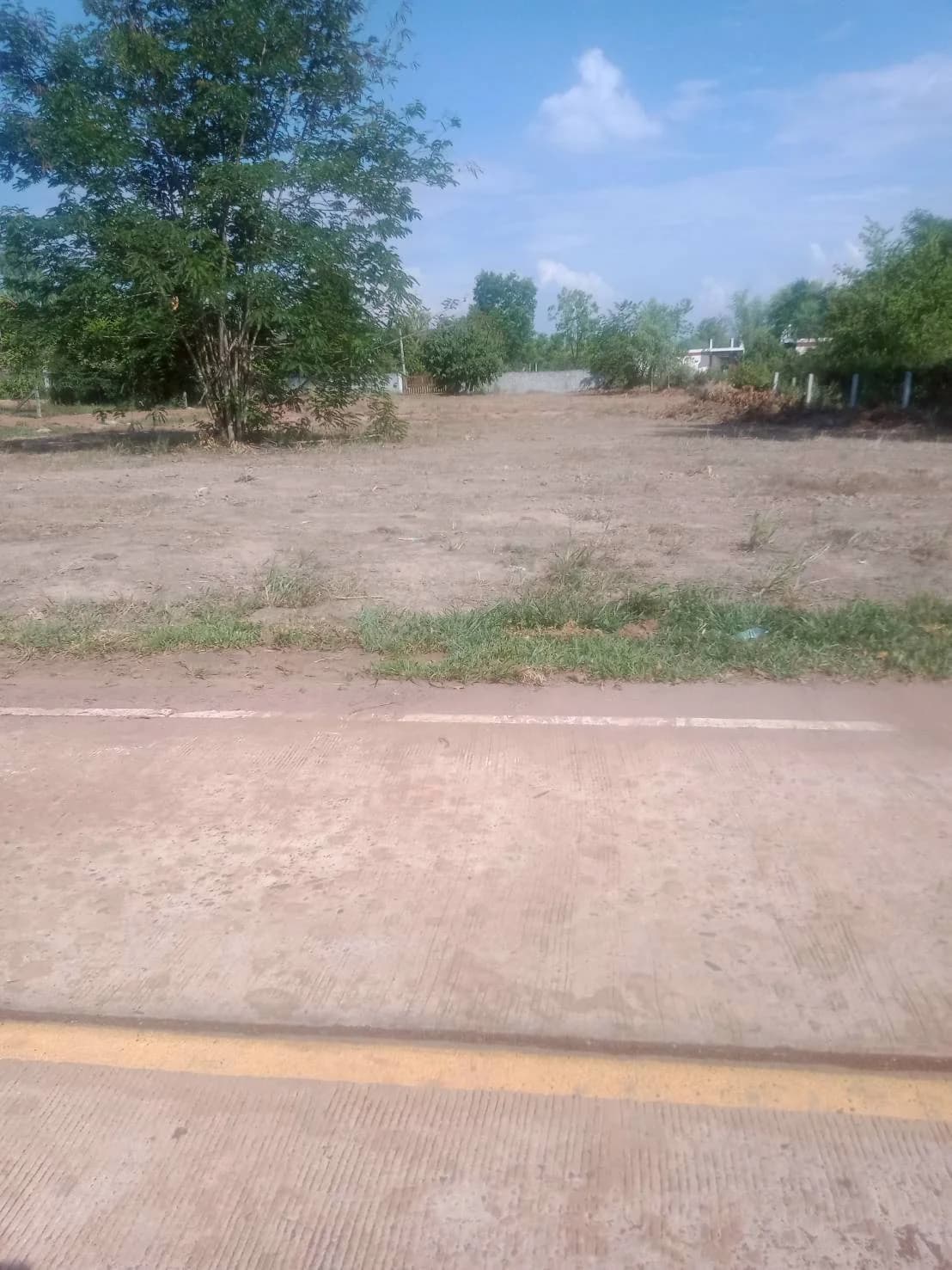 ที่ดินติดถนน 2 ด้าน ทำเลดี ใกล้วัดเทพวังทอง 1 ไร่ - image 3