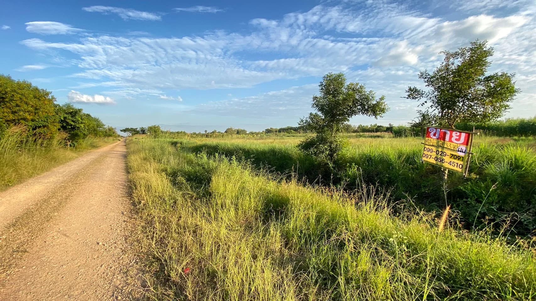 ขายที่ดินคลองหก 3-3-38 ไร่ ใกล้ ม.เทคโนโลยีราชมงคลธัญบุรี รูปแปลงสี่เหลี่ยมสวย เหมาะสร้างบ้านหรือทำสวน - image 3