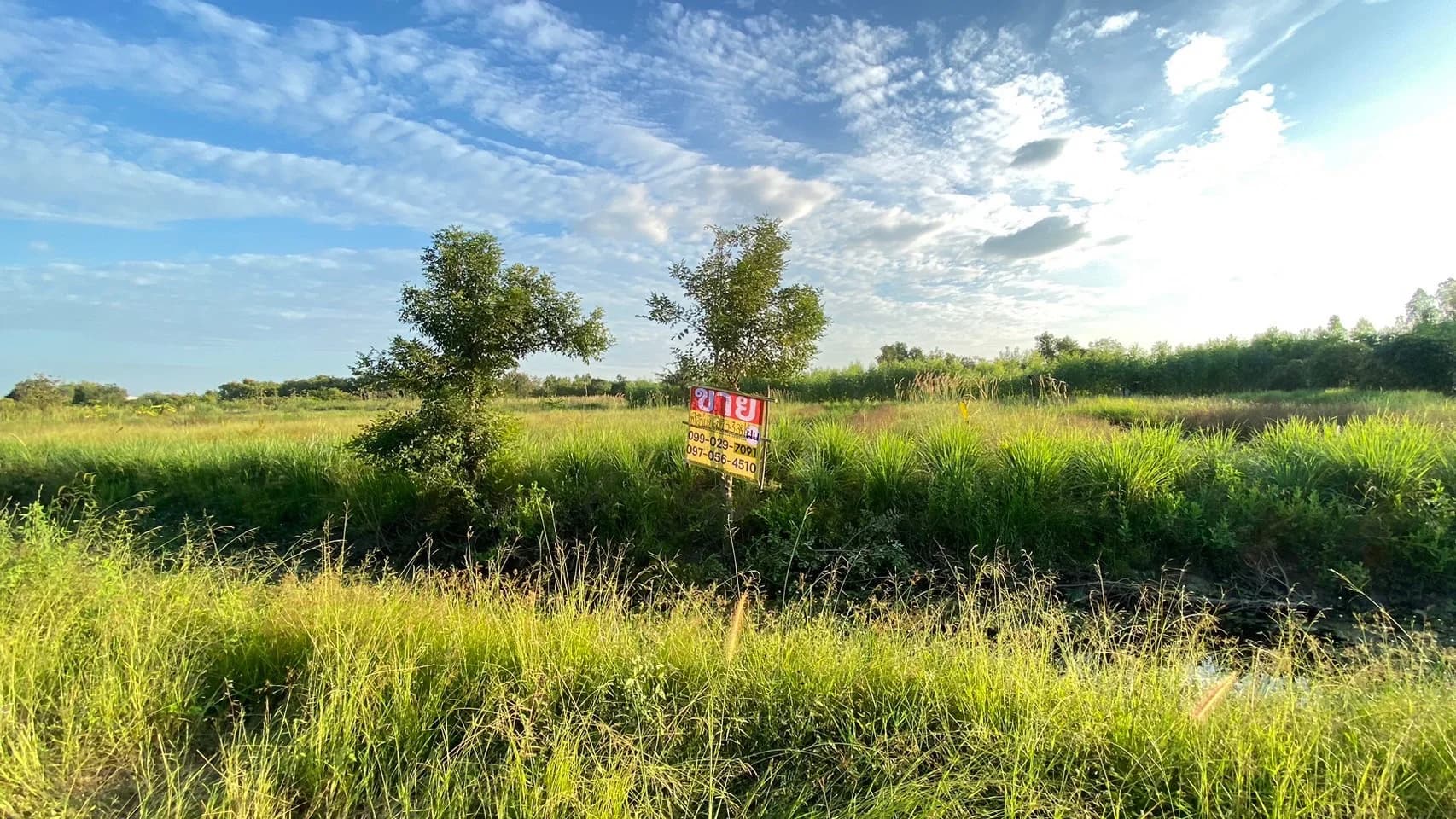 ขายที่ดินคลองหก 3-3-38 ไร่ ใกล้ ม.เทคโนโลยีราชมงคลธัญบุรี รูปแปลงสี่เหลี่ยมสวย เหมาะสร้างบ้านหรือทำสวน - image 1