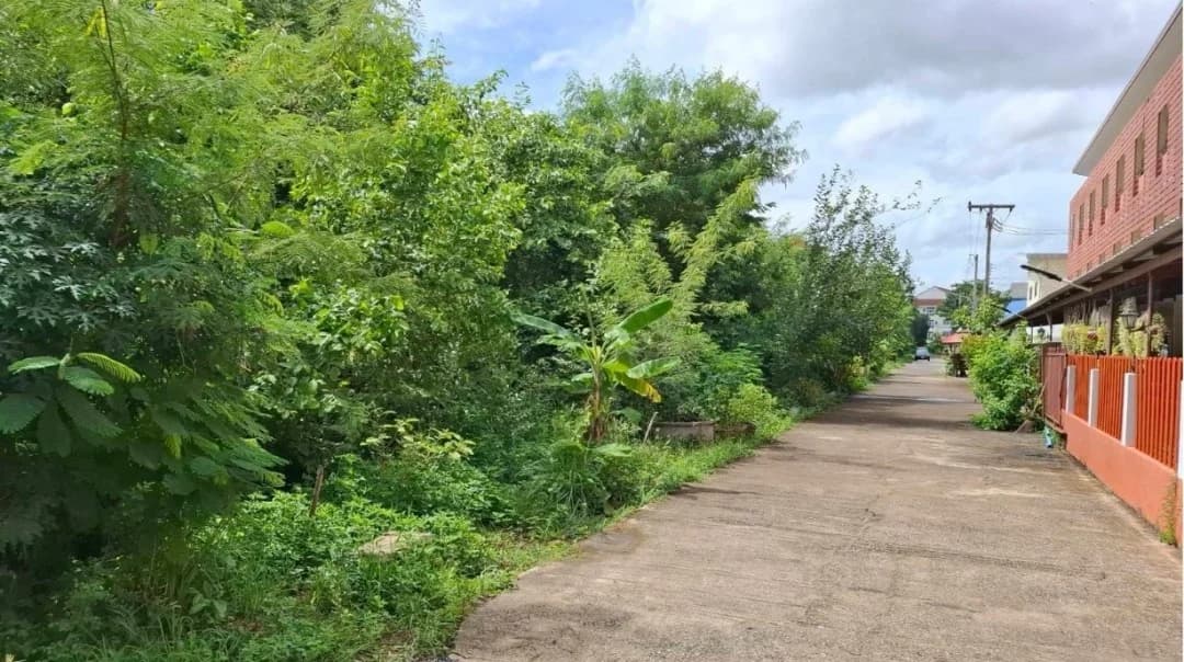 ขายที่ดินใกล้ มมส. 6 ไร่ ทำเลดี เหมาะทำหอพัก อพาร์ทเม้นท์ คอนโด รูปแปลงสี่เหลี่ยมสวย - image 4