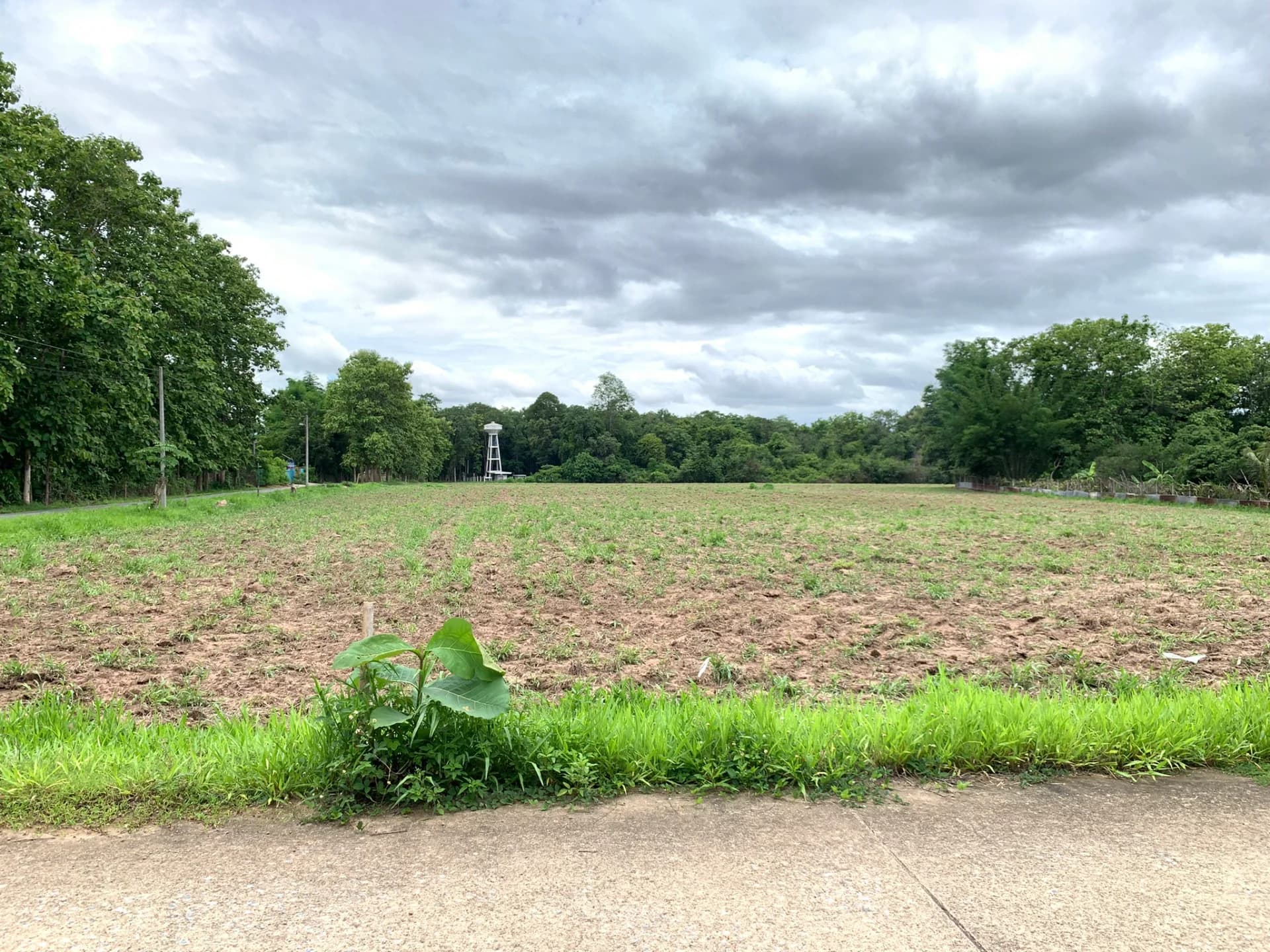 ขายที่ดินสวย 3-3-44 ไร่ แพร่ อ.สอง ติดสี่แยก อยู่ในแหล่งชุมชน เหมาะสร้างบ้าน ทำฟาร์มสเตย์ หรือรีสอร์ท - image 3