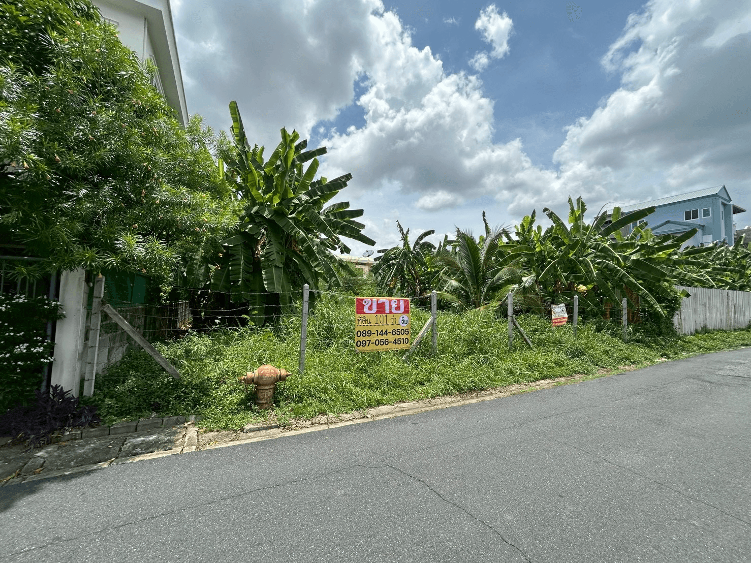 ขายด่วน ที่ดิน 101 ตารางวา ซอยลาดพร้าว 124แยก1