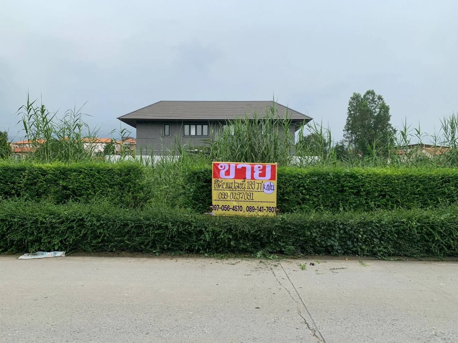 ขายที่ดินบางแก้ว บางนา กม.7 สวยมากๆ ทำเลดี 189 ตร.วา ใกล้เมกาบางนา รูปแปลงสี่เหลี่ยมสวย